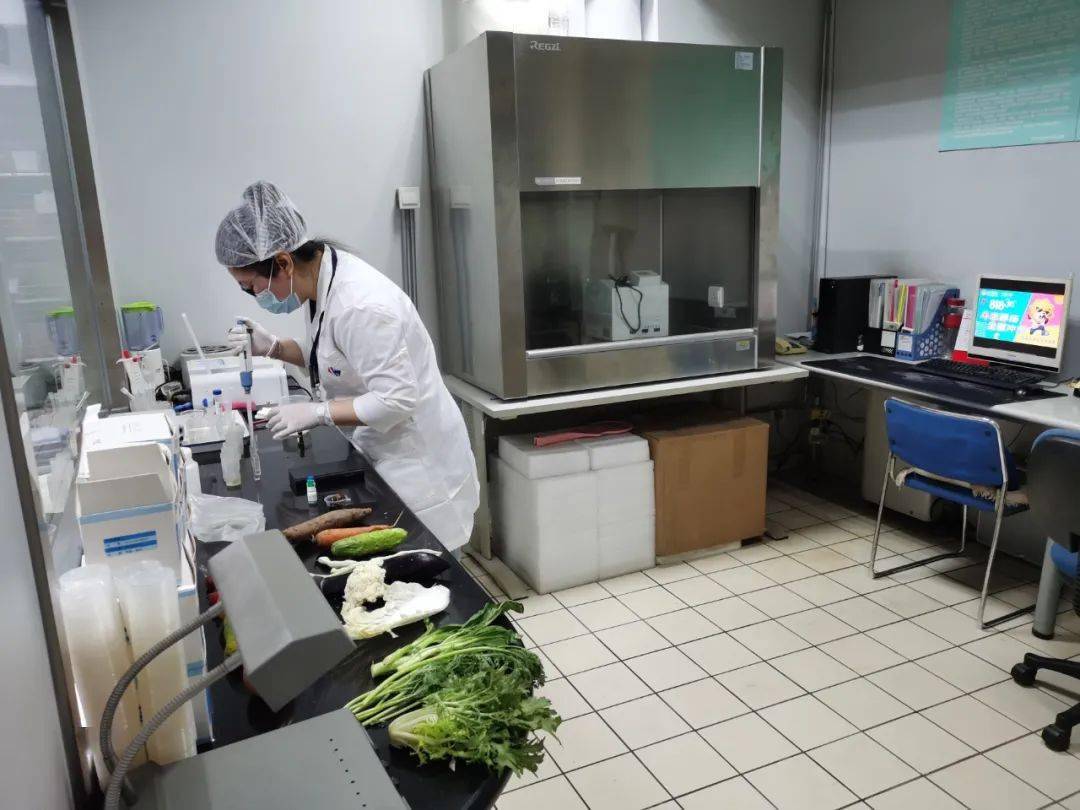朝阳食品检测实验室装修方案